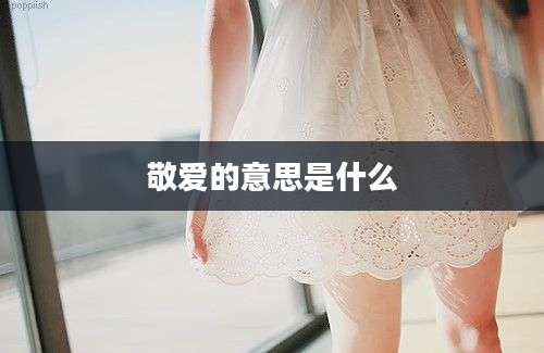 敬爱的意思是什么