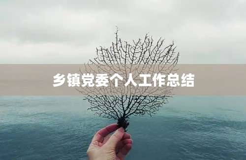 乡镇党委个人工作总结