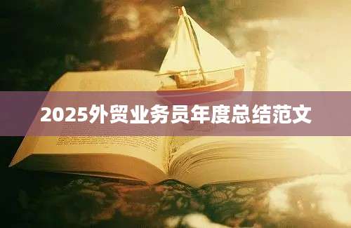 2025外贸业务员年度总结范文