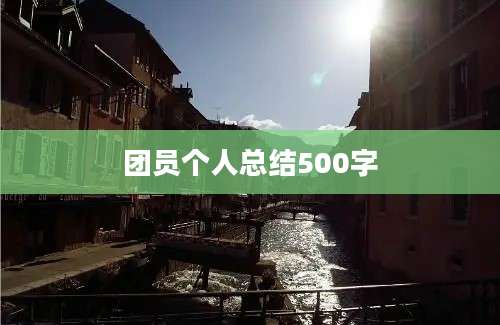 团员个人总结500字
