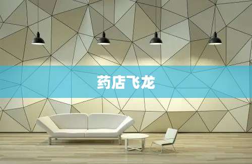 药店飞龙