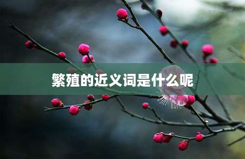 繁殖的近义词是什么呢