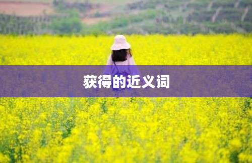 获得的近义词
