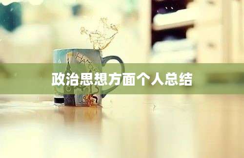 政治思想方面个人总结