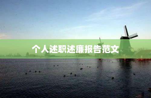 个人述职述廉报告范文