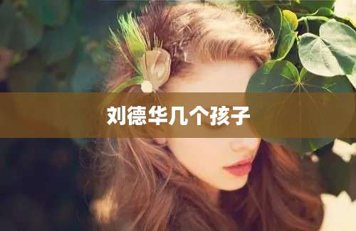 刘德华几个孩子