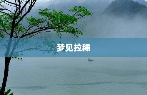 梦见拉稀
