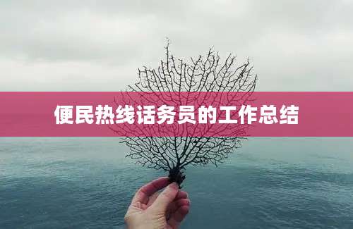 便民热线话务员的工作总结