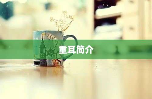 重耳简介