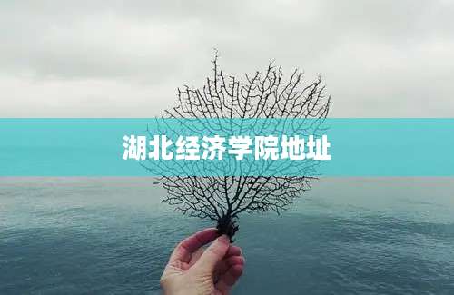 湖北经济学院地址