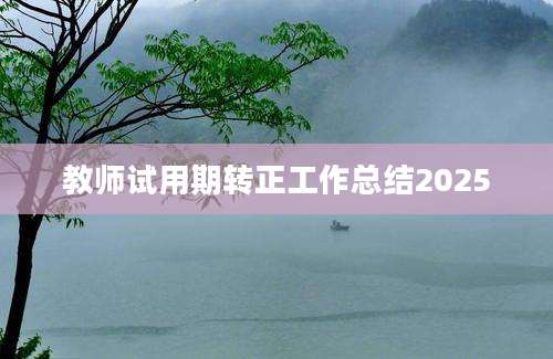 教师试用期转正工作总结2025