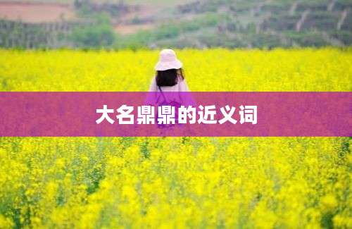 大名鼎鼎的近义词