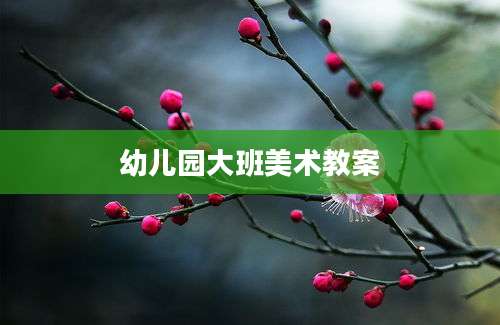 幼儿园大班美术教案