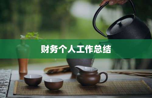 财务个人工作总结