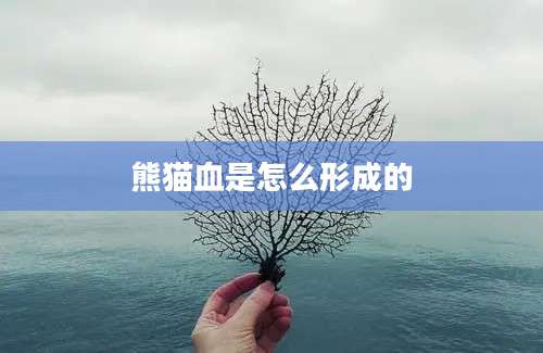 熊猫血是怎么形成的