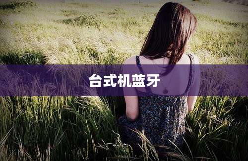 台式机蓝牙