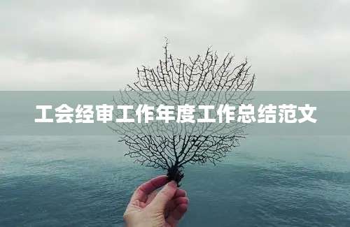 工会经审工作年度工作总结范文