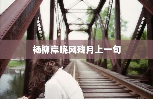 杨柳岸晓风残月上一句