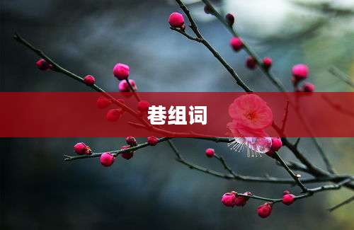 巷组词