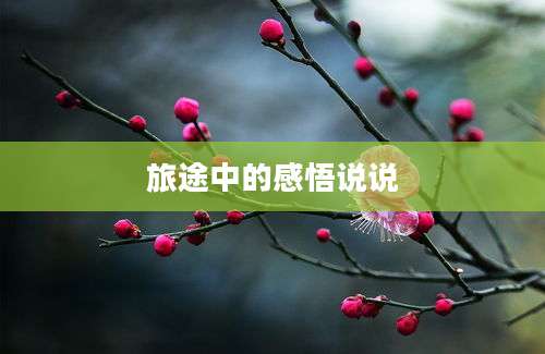 旅途中的感悟说说