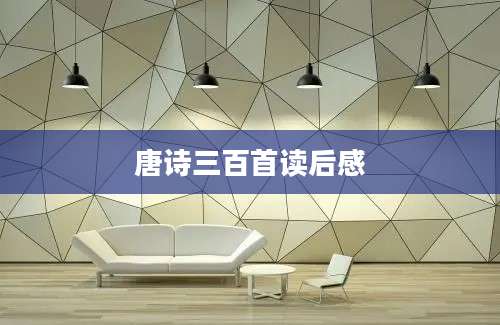 唐诗三百首读后感