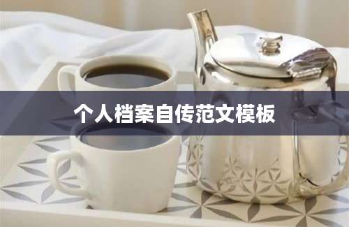 个人档案自传范文模板