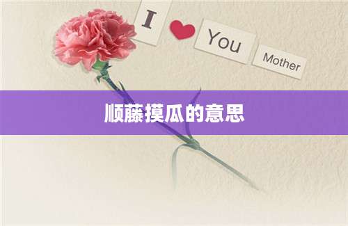 顺藤摸瓜的意思