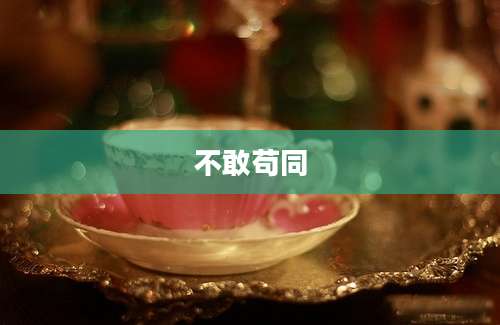 不敢苟同