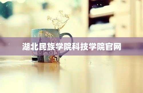 湖北民族学院科技学院官网