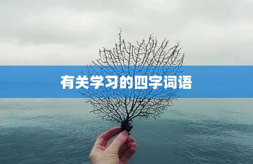 有关学习的四字词语