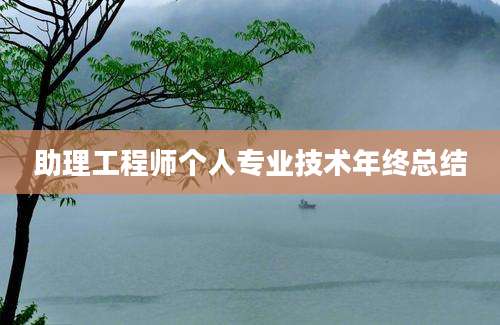 助理工程师个人专业技术年终总结