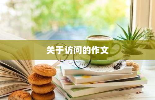 关于访问的作文