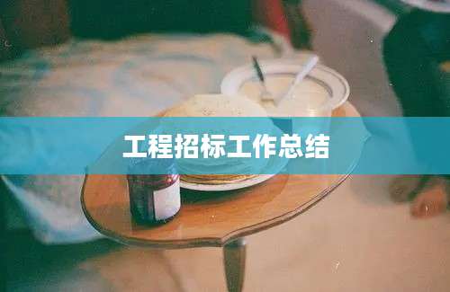 工程招标工作总结