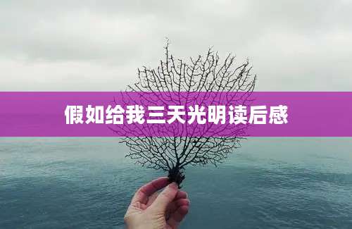 假如给我三天光明读后感
