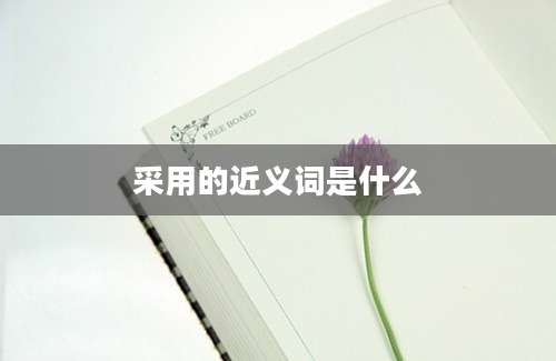 采用的近义词是什么
