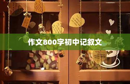 作文800字初中记叙文