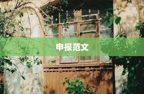 申报范文