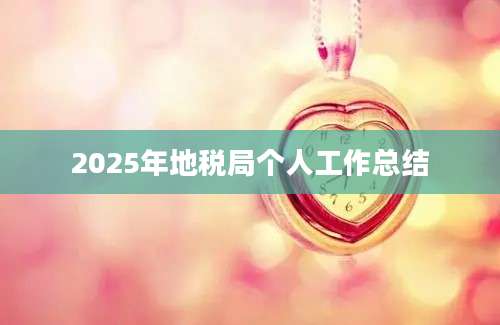 2025年地税局个人工作总结