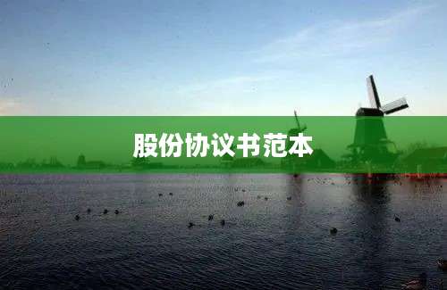 股份协议书范本