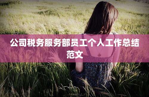 公司税务服务部员工个人工作总结范文