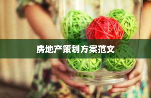 房地产策划方案范文