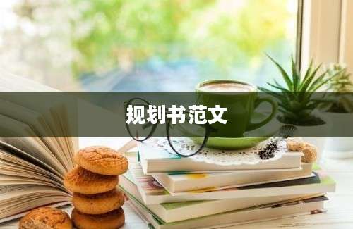 规划书范文