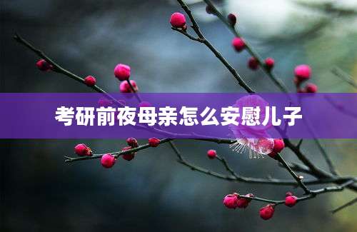 考研前夜母亲怎么安慰儿子