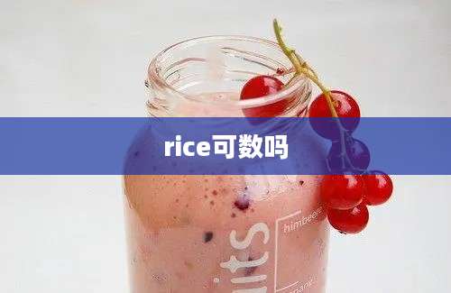 rice可数吗