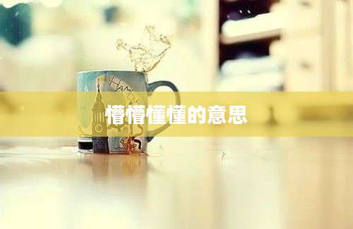 懵懵懂懂的意思