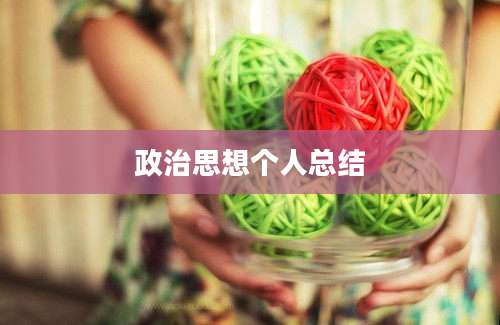 政治思想个人总结