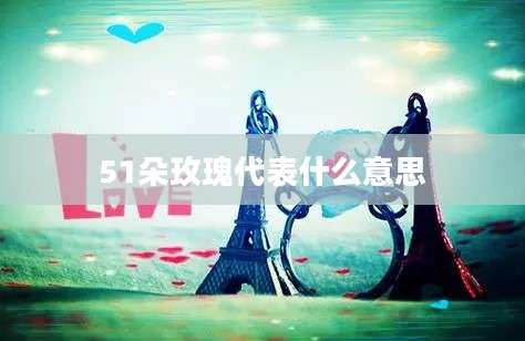51朵玫瑰代表什么意思
