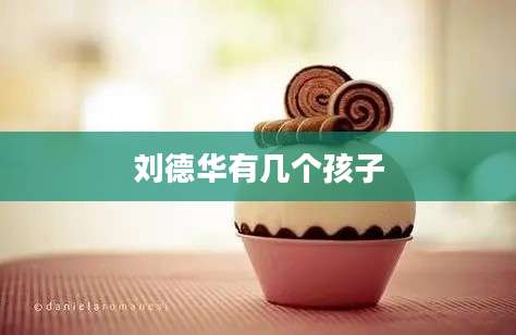 刘德华有几个孩子