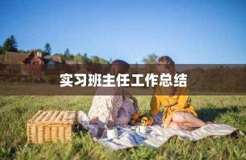 实习班主任工作总结