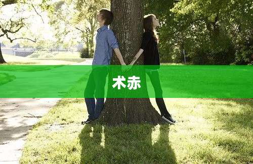 术赤